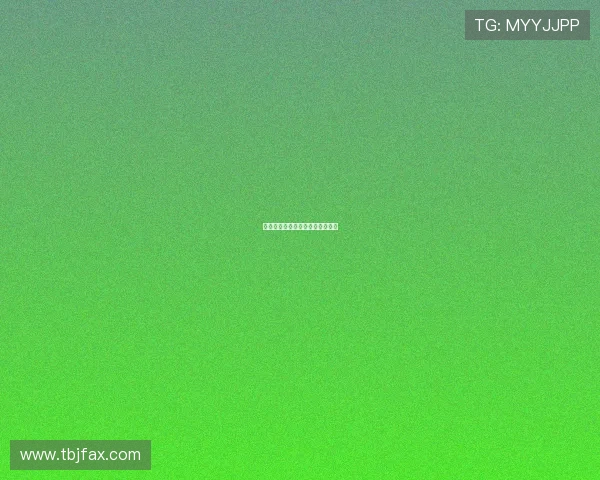 美世界：一场触及灵魂的探索之旅